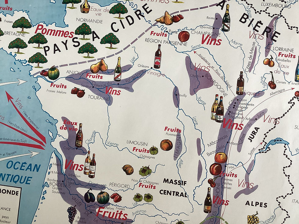 Affiche scolaire ancienne vigne et fruits