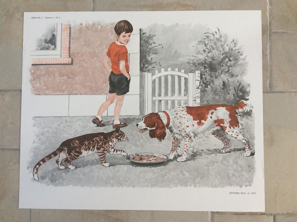 Miniature : Affiche scolaire le repas du chien et du chat