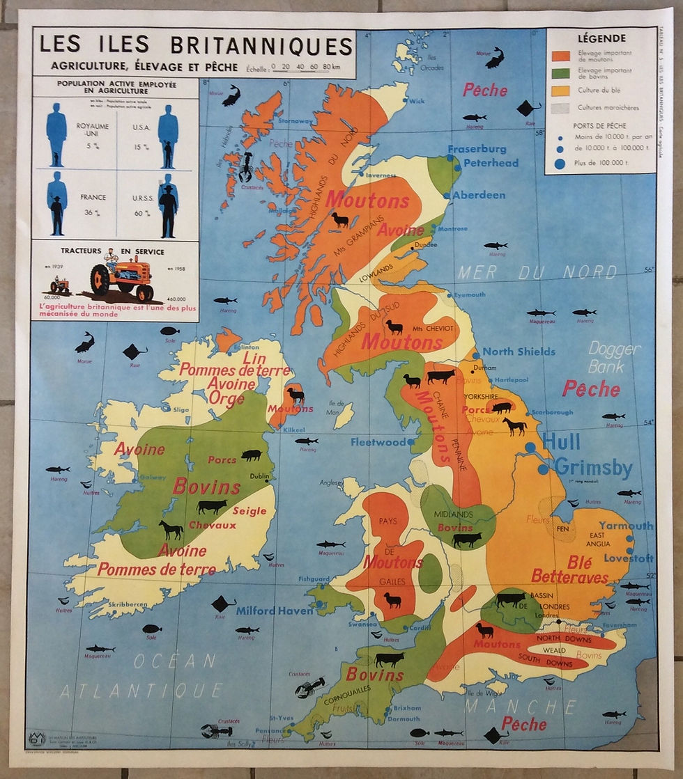 Miniature : affiche scolaire Iles britanniques agriculture élevage pêche