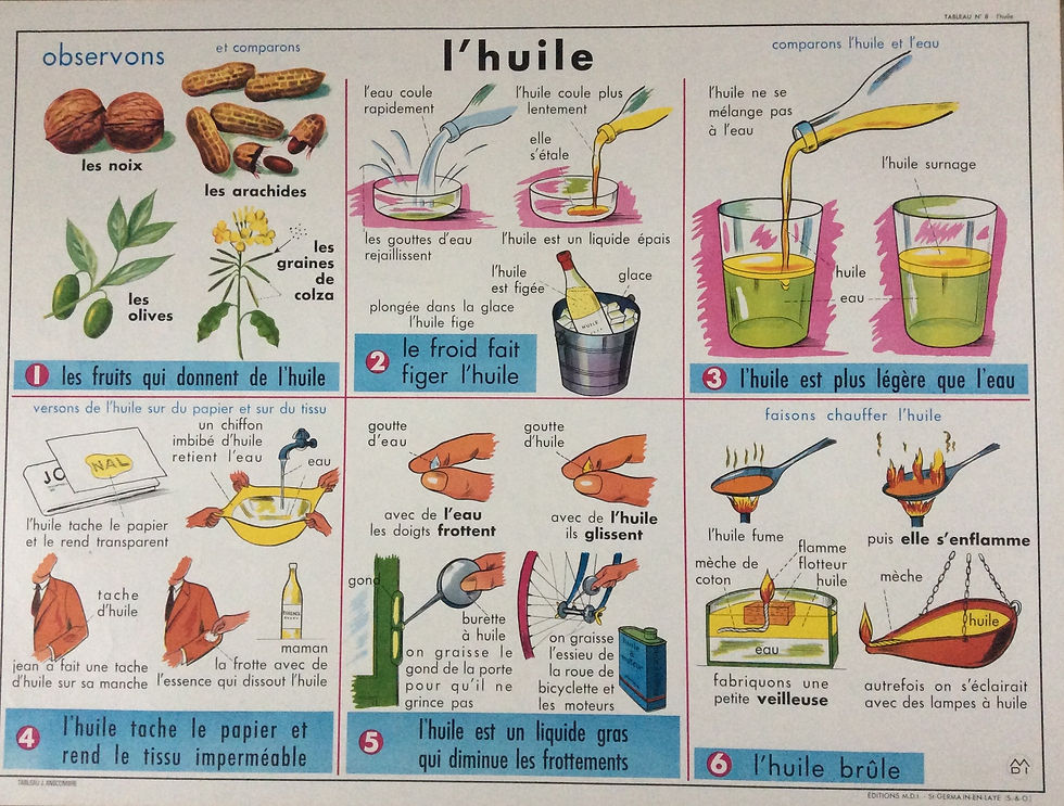 Miniature : Affiche scolaire pédagogique l'huile