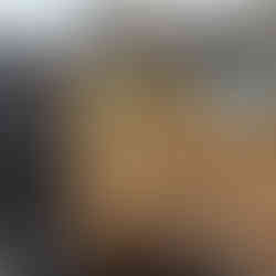 支柱から支柱へ麻ひもを張ります