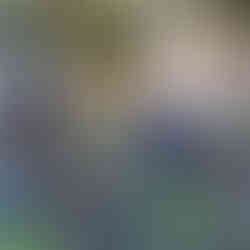 ひたすら植えます