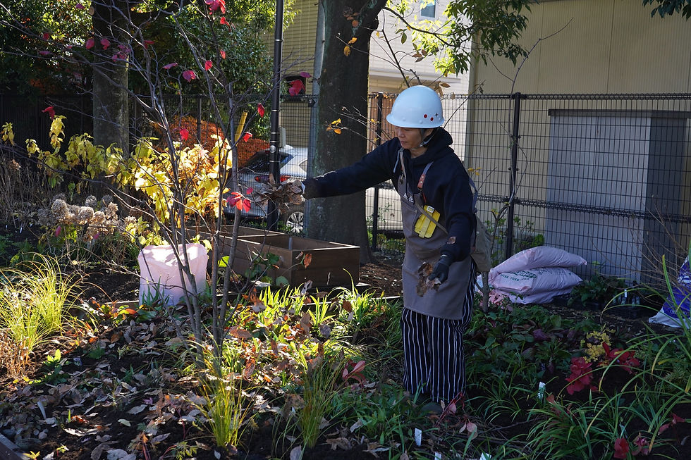 落ち葉を散らします。