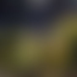 武蔵野のそうげんがテーマなのでグラスも植えます
