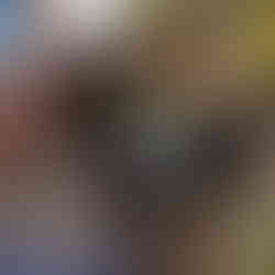 球根も入れました