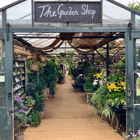 「ピーターシャムナーサリーズ」のバックヤードガーデン①