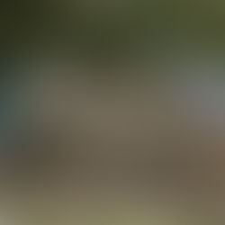 ドライストーンウォールの積み方試験