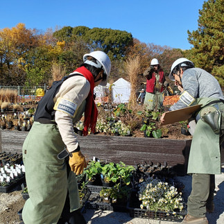 植物を選んで、探して