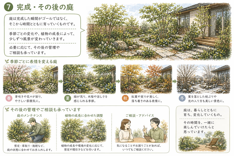 完成した庭と季節の変化イメージ|成長するガーデン風景