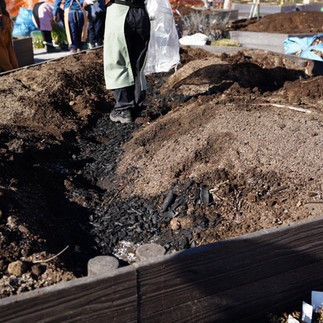 作業通路に撒かれた竹炭