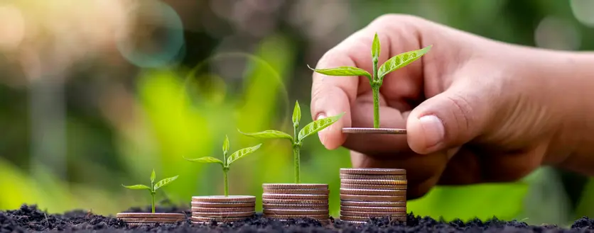 planting-tree-pile-coins-including-woman-s-hand-holding-coin-tree-coin-concept-saving-money-future-investment-1.jpg.webp