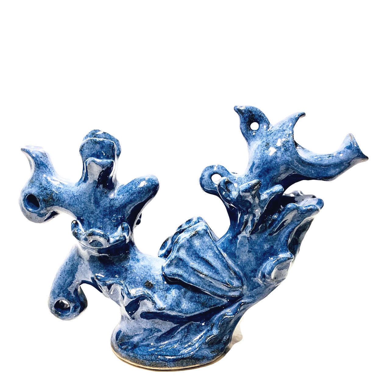 The sea horse