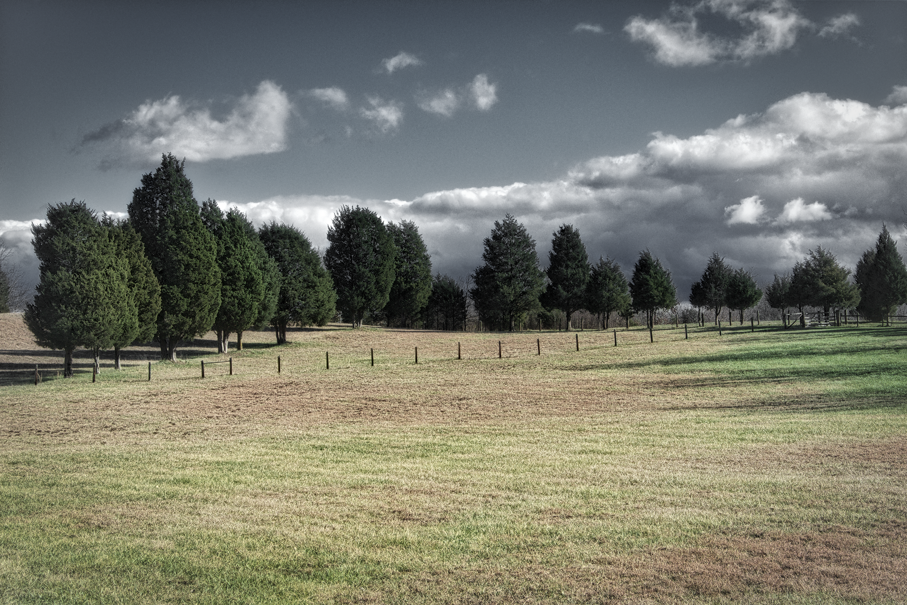 Field and Storm