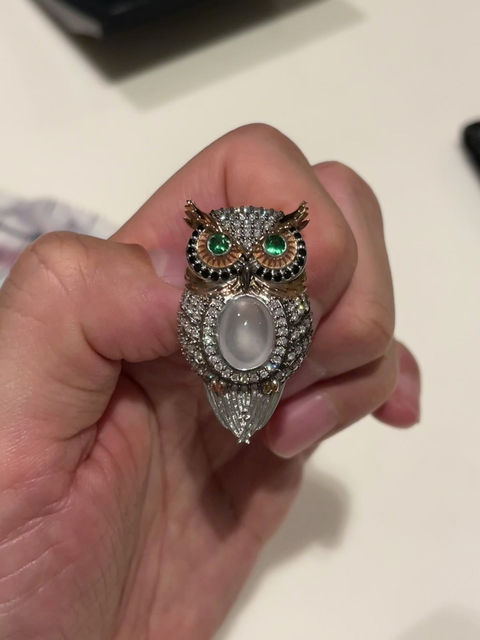 Thumbnail: Luxury Owl Pendant cum Brooch