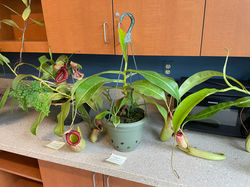 Display 2