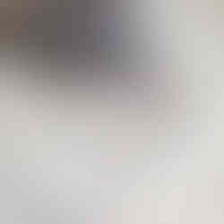 Anjee Corp, Photographe mariage Versailles : Quel est le prix moyen d'un photographe de mariage ?