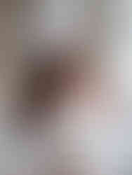 Anjee Corp, Photographe mariage Versailles : Quel est le prix moyen d'un photographe de mariage ?