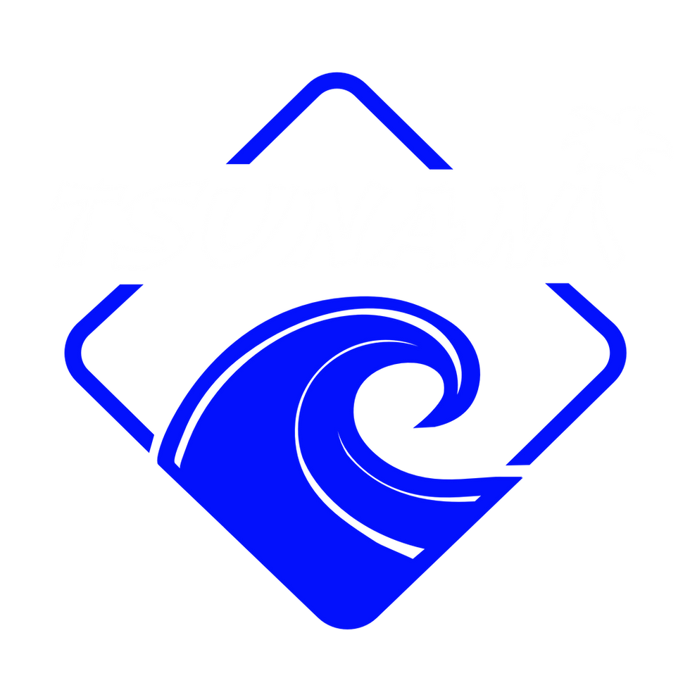 TSUNAMI Full Wave Logo - edited 1.8.png