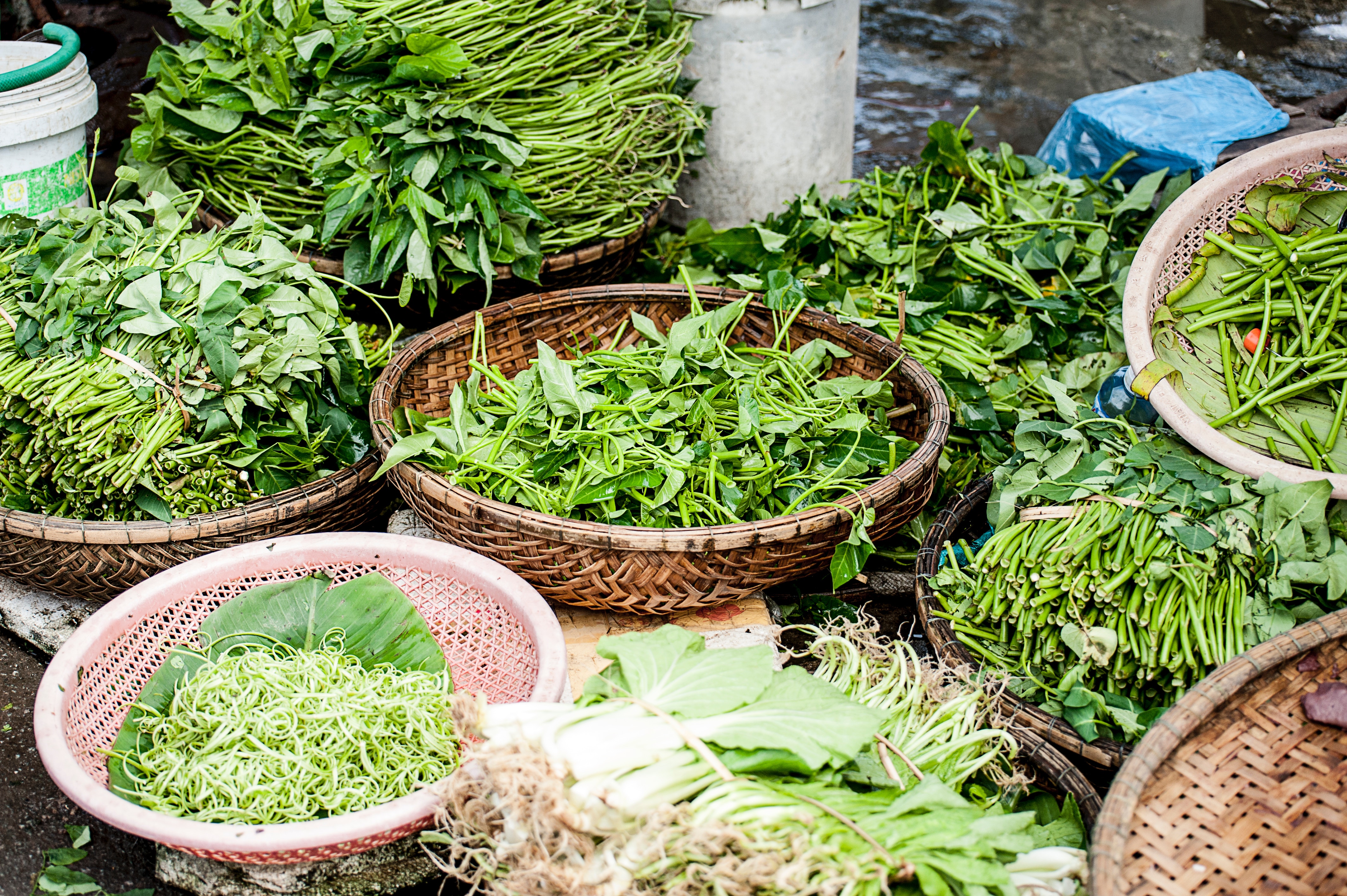 Vegetables and Herbs
