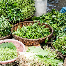 Legumes e Ervas