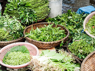 Vegetables and Herbs
