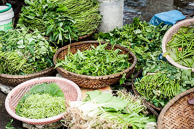 Vegetables and Herbs