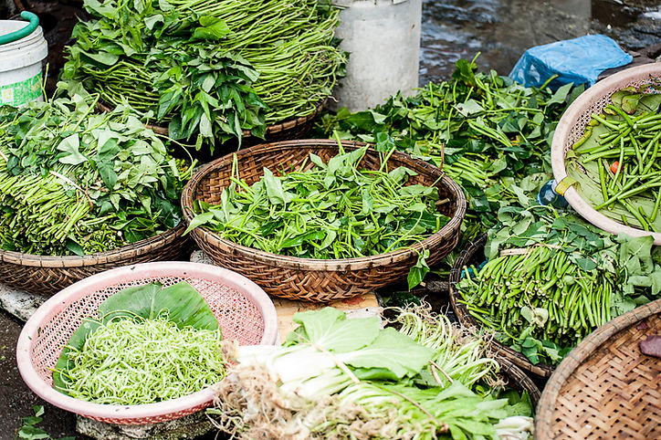 Vegetables and Herbs