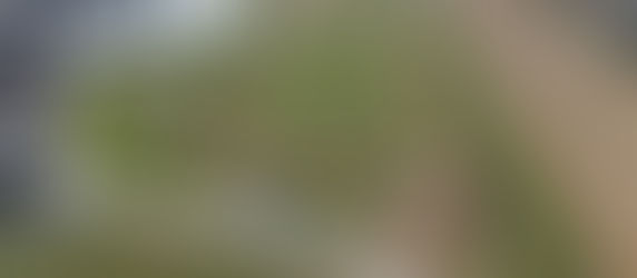 Es tut sich was am Bauernhuberring