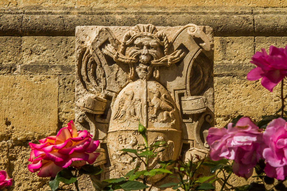 visite narbonne entrée cloitre