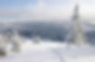 baner