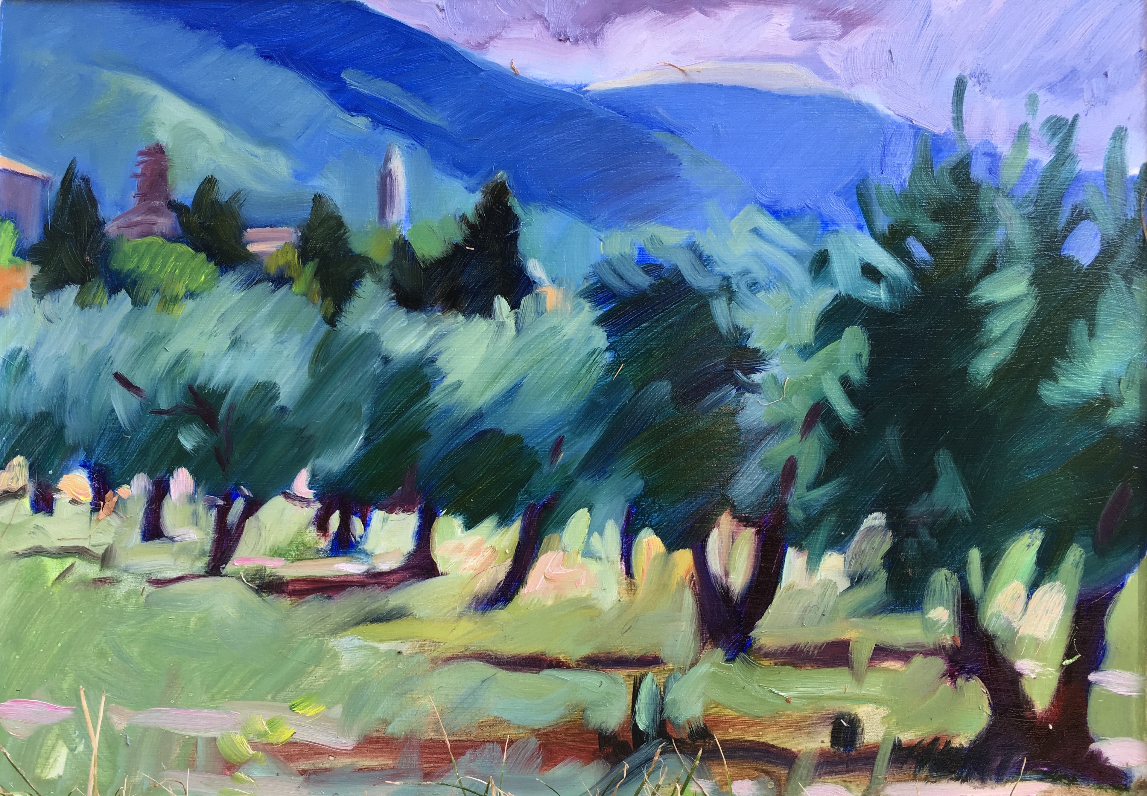 Assisi Olive Grove 13_x 18_