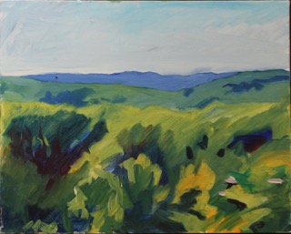 15 Castlewood POL 16 x 20