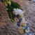 Thumbnail: Something Blue