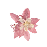 Untitled design (14).png