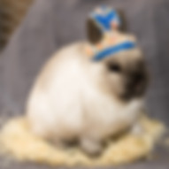 DSC07523.jpg