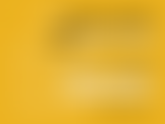 Appel à candidatures pour les directeurs du FFEUA-ICU pour le mandat 2026/2029