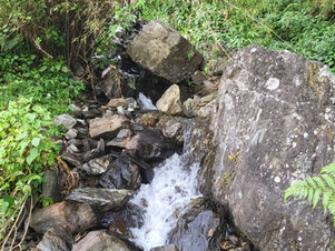 LE PROJET IRRIGATION EST SUR LES RAILS