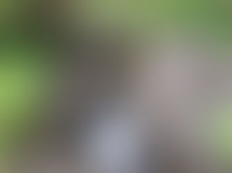 LE PROJET IRRIGATION EST SUR LES RAILS