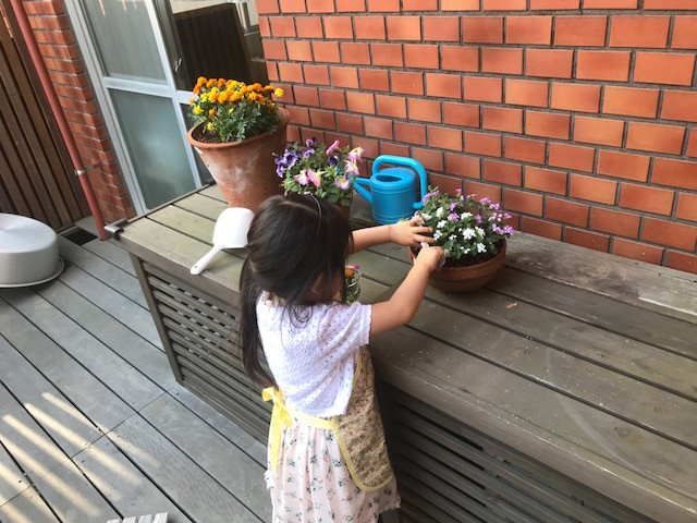 花の水替え テラス 花摘み