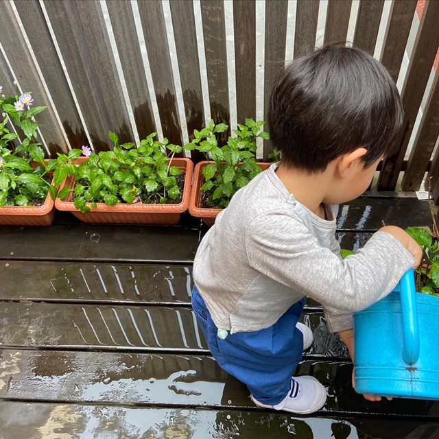 インファントクラス 花の水やり