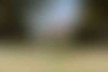 Tullyveery House Wedding