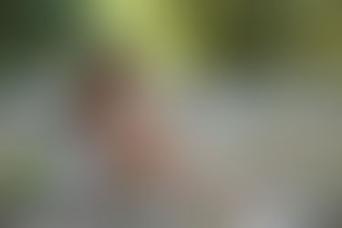 El Desafío del Autismo en la Edad Adulta: Descubriendo un Mundo Desconocido