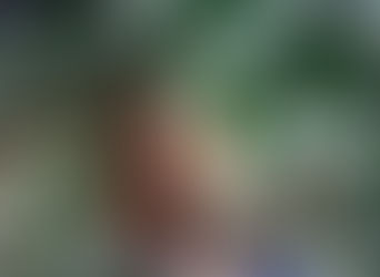 Entendiendo el Trastorno de Adaptación: Identificación y Tratamiento