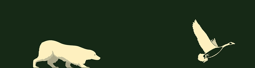 Wevsite logo Dog Goose 6-9-25.png