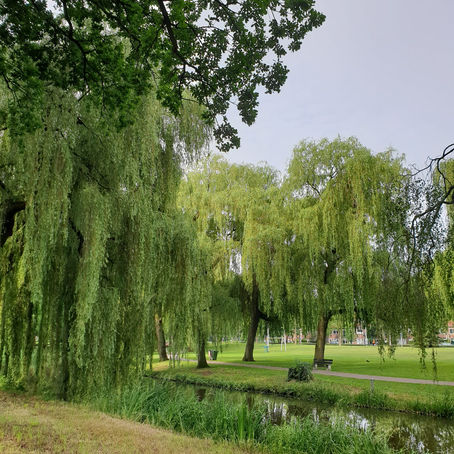 10 creative activities to do in the nature!