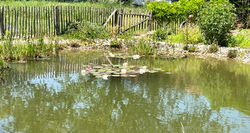 Weiher