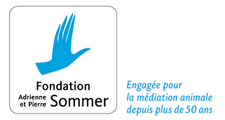 Sommer Logo for ISAZ 2026 Website (72 x 28 in).png