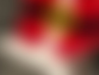 Santa's Suit With Michael Miller's Holiday Blog Hop Is Here!