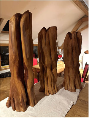 TRILOGIE DER WALDWESEN // 2024