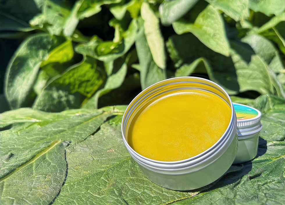 Thumbnail: Comfrey Salve